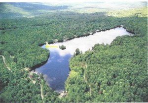 predaj-amerika-ostrov-najlacnejsi-nay-poland-island.jpg