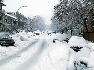 snow.jpg